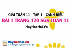 Giải bài 1 trang 120 Toán 11 tập 1 SGK Cánh Diều